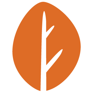 playnetarena.com favicon